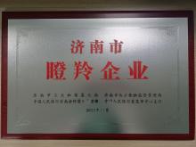 濟南市瞪羚企業